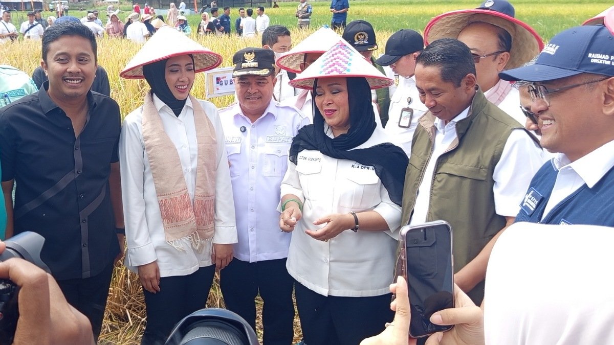 Titiek Soeharto Panen Padi di Agam, Dorong Program SPM untuk Swasembada Pangan Nasional